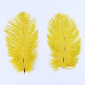 6-8 cm/15-20cm naturale, pene de strut frumos galben nunta Curcubeu de perete decor acasă cu ridicata 10buc