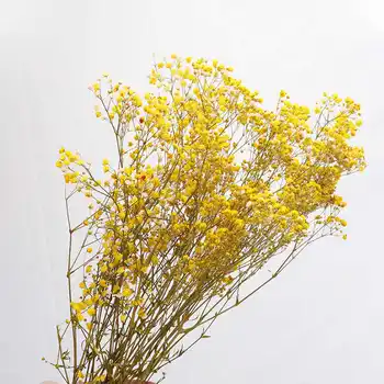 Naturale, Proaspete, Uscate, Conservate Flori Flori Cadou Pentru Petrecerea De Nunta Acasă Dekoration
