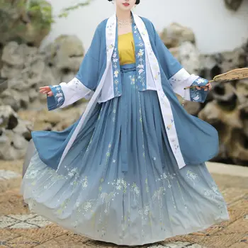XinHuaEase Hanfu Costum pentru Femei Rochii Dinastiei Song Stil Chinezesc Tradițional Oriental Vechi Populare Cosplay Costum Fotografie