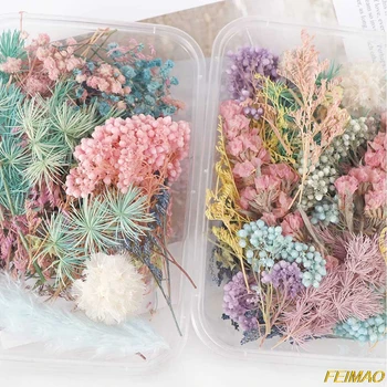 1 Cutie de Flori Uscate, Plante Uscate Pentru Aromoterapie Lumânare Epoxidice Rășină Pandantiv Colier Bijuterii de Luare de Artizanat DIY Accesorii