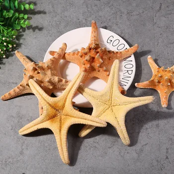 3pcs Naturale mini - steaua de mare artizanat, ornamente mici peisaj de decor acvariu stea de mare de pește