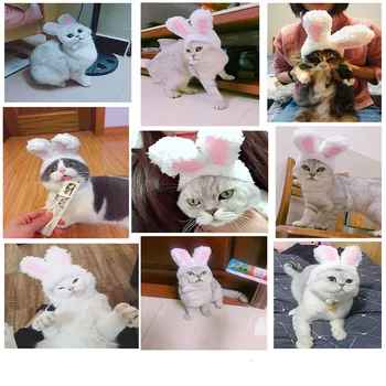 Drăguț Pisica Amuzant Pălării Drăguț Iepure Cross-Rochie-Palarie Frizură Show Amuzant Animale De Companie Pălărie Urechi Recuzită Articole Pentru Acoperirea Capului 1 Bucata