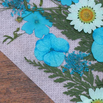 1 Set de Flori Plante Specimen Ierbar Marcaj DIY Flori Uscate Pachet de Materiale Handmade Lecție de Material (Cer-albastru, Despre 22pc