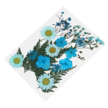 1 Set de Flori Plante Specimen Ierbar Marcaj DIY Flori Uscate Pachet de Materiale Handmade Lecție de Material (Cer-albastru, Despre 22pc