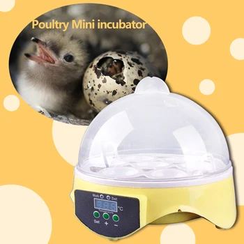 Mini 7 Ou Incubator De Păsări De Curte Incubator Incubator De Temperatura Digitale Ou Incubator Incubator Incubator De Pui De Rață Pasăre Porumbel