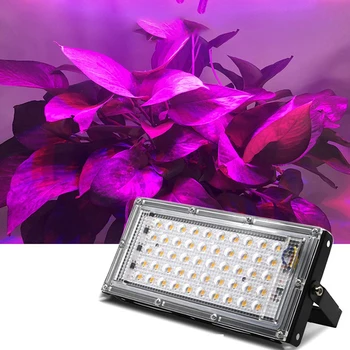 LED-uri Cresc Light AC220V 50W LED Full Spectrum LED Proiector Fito Lampa de Creștere a Plantelor de Iluminat Pentru Flori Răsaduri de Plante