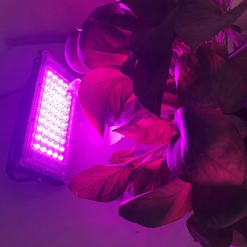 LED-uri Cresc Light AC220V 50W LED Full Spectrum LED Proiector Fito Lampa de Creștere a Plantelor de Iluminat Pentru Flori Răsaduri de Plante
