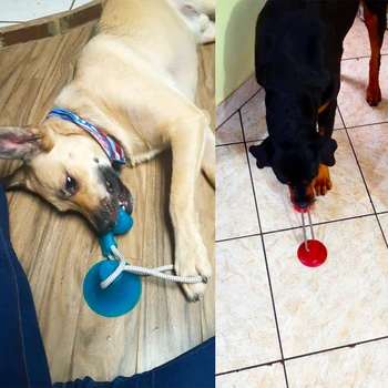 Jucării câine de Companie Catelus Interactiv ventuza Împinge TPR Mingea Jucării Molar Musca Jucărie Corzi Elastice Câine de Curățare Dinte de Mestecat Consumabile