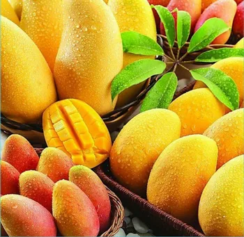 2019 100g Filipine Fructe Uscate, Mango 7d Cebu Filipine Natural Delicios Copt Organic Mango Pentru Vegetarian Sănătos