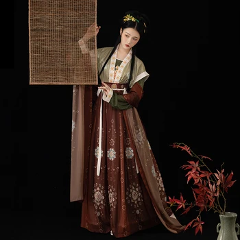 New Tang Dynasty Costum Elegant Tradițională Chineză Antică Haine de Toamna si Iarna de Dans Popular Haine de sex Feminin Hanfu Costum DQL5063