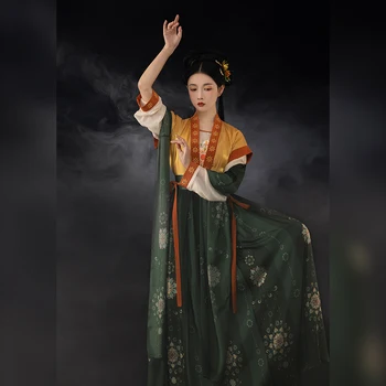 New Tang Dynasty Costum Elegant Tradițională Chineză Antică Haine de Toamna si Iarna de Dans Popular Haine de sex Feminin Hanfu Costum DQL5063